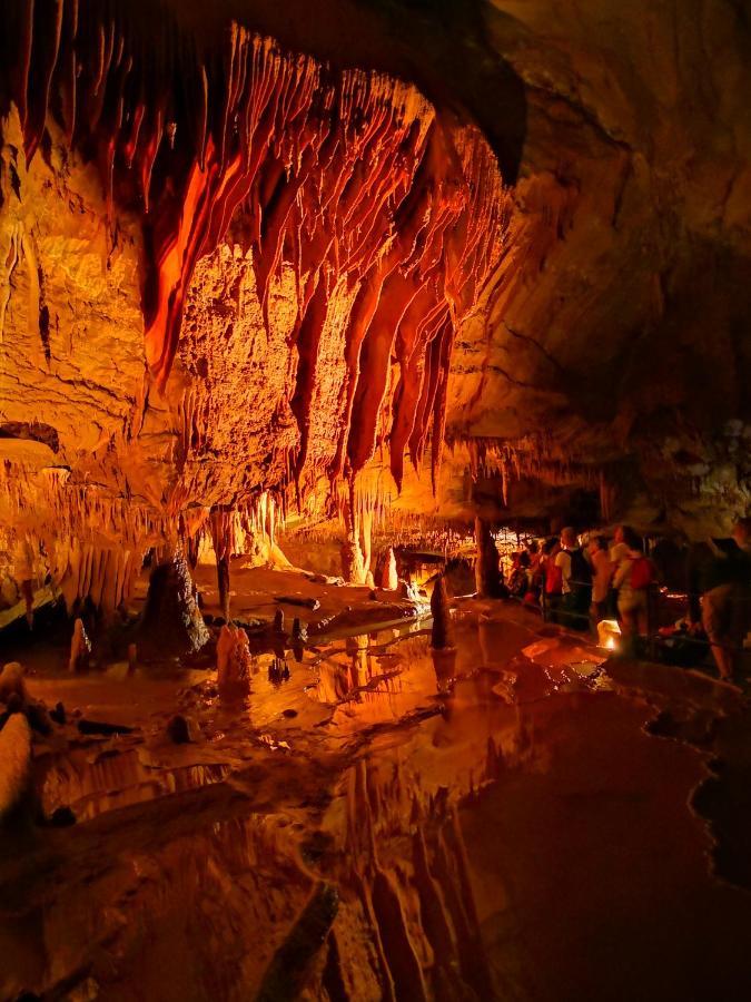 Magnifique Gite En Pierres 6 Personnes Avec Piscine Privee Ardeche Plein Sud Lablachère Dış mekan fotoğraf